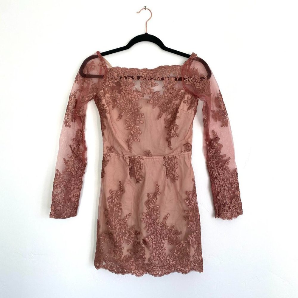NWT Tobi Lace Sheer Mesh Sexy Cocktail Dress - Sz S, Rose Pink